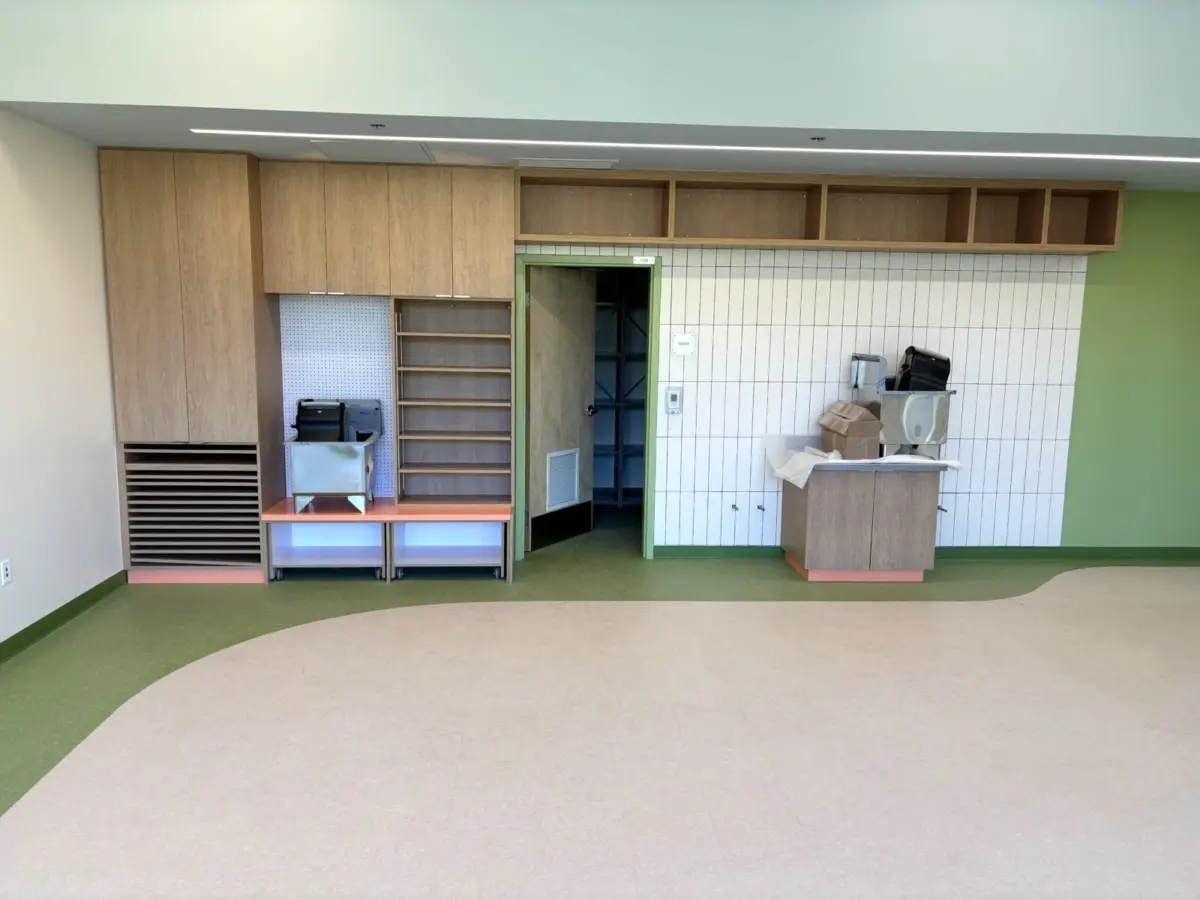 Wood veneer casework and shelving fabricated by DNS Industries for Brownsburg School