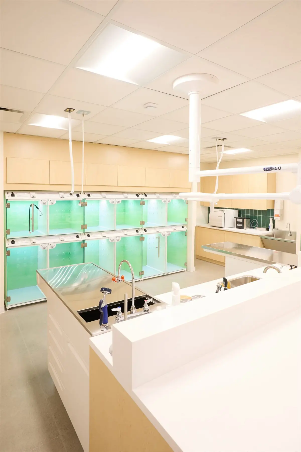 Stainless steel prep table set into a solid surface counter run in the Juno Veterinary treatment area