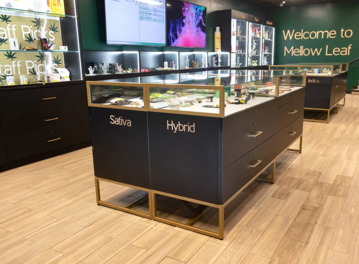 Black display islands with glass vitrine tops, drawers and gold metal bases on the Mellow Leaf sales floor