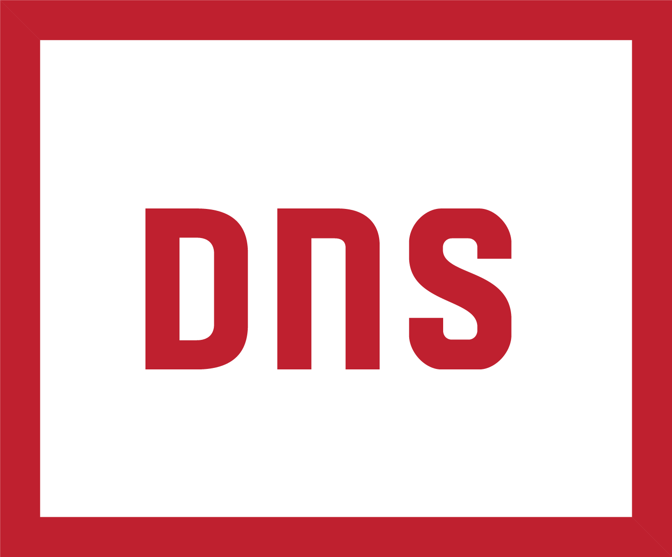 DNS Industries logo