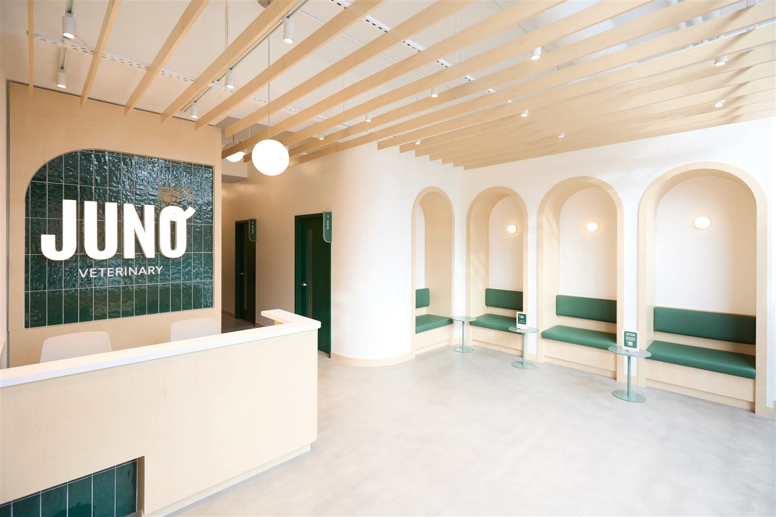 Juno Veterinary reception desk in maple veneer with a green gloss tile feature wall and arched waiting niches beyond