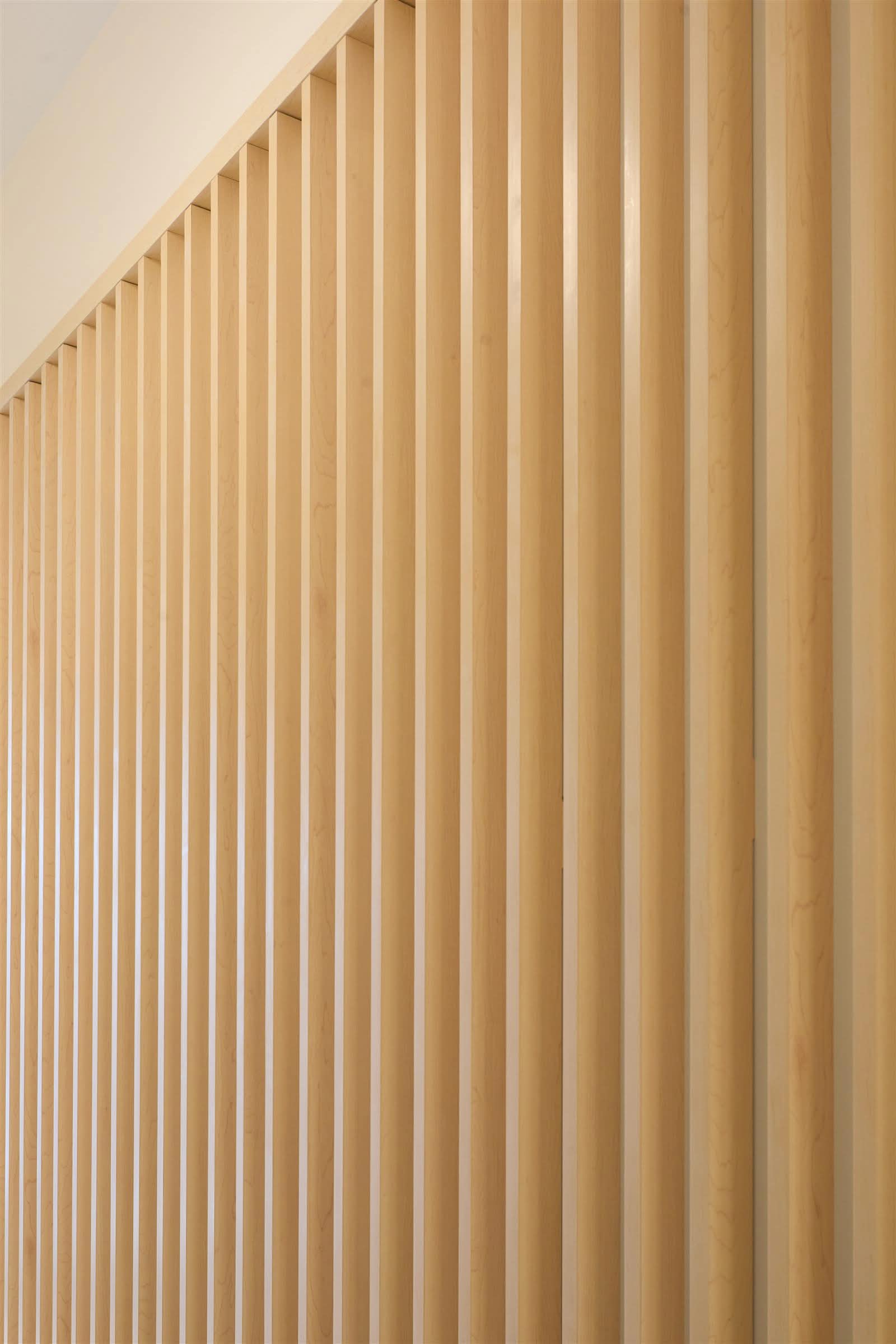 Vertical maple slat wall built as a feature partition at Juno Veterinary