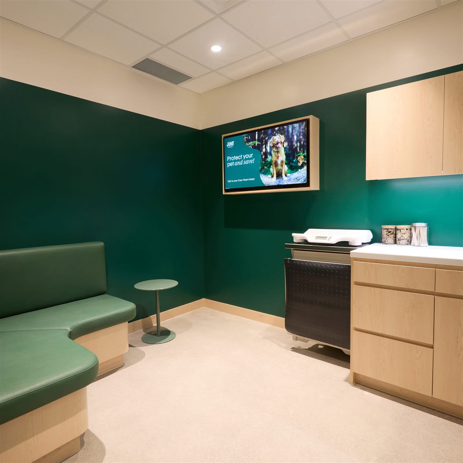 Juno Veterinary exam room with maple wall and base cabinets, a white solid surface counter and an integrated pet scale