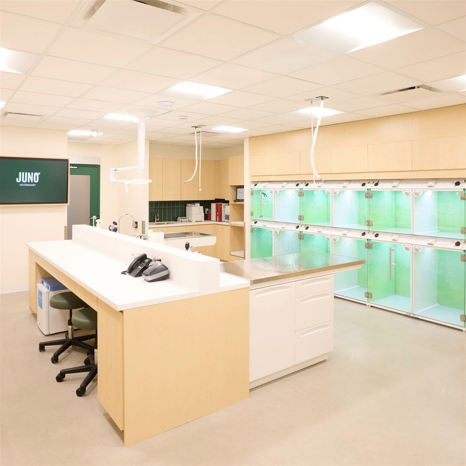 Treatment room at Juno Veterinary with a maple and solid surface island and a glass fronted kennel bank behind