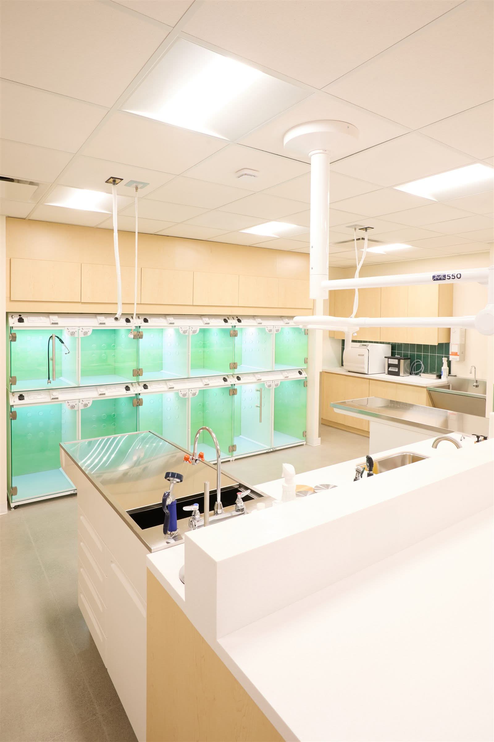 Stainless steel prep table set into a solid surface counter run in the Juno Veterinary treatment area