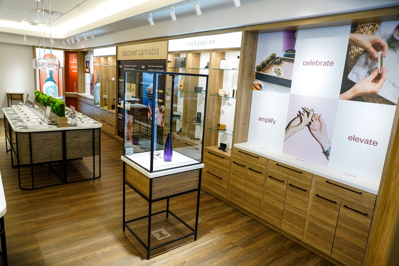 Modern cannabis dispensary interior with display cases